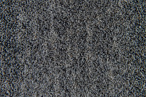 Flotex Colour s 482004 Penang Mercury фото 2 | FLOORDEALER