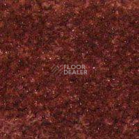 Ковролин Hidden Treasure Beaulie of America Cinnamon 27 фото 1 | FLOORDEALER