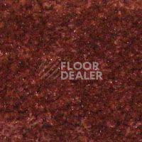 Ковролин Hidden Treasure Beaulie of America Cinnamon 27 фото 1 | FLOORDEALER