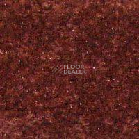 Ковролин Hidden Treasure Beaulie of America Cinnamon 27 фото 1 | FLOORDEALER