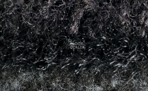 Forbo Coral Duo 9730 Black Diamond фото 3 | FLOORDEALER