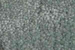 Ковролин Serene Beaulieu of America 13 фото  | FLOORDEALER