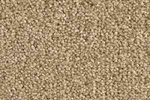 Ковролин Balsan Scenario 640 фото  | FLOORDEALER