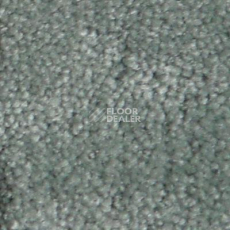 Ковролин Serene Beaulieu of America 13 фото 1 | FLOORDEALER