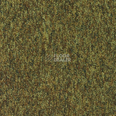Ковровая плитка Desso Tempra 6211 фото 1 | FLOORDEALER
