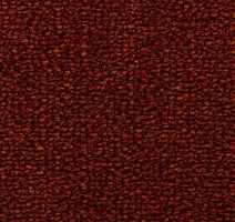 Ковролин Edel Tamino 145 фото 1 | FLOORDEALER