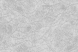 Ковролин Big Carus Sunrise 004-25156 фото  | FLOORDEALER