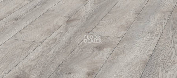 Ламинат Kronotex Mammut Plus d4793 Дуб Белый Макро фото 1 | FLOORDEALER