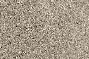 Ковролин Edel Zeal 106 фото  | FLOORDEALER