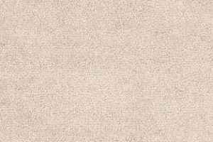 Ковролин AW The Velvet Omphale 39 фото  | FLOORDEALER