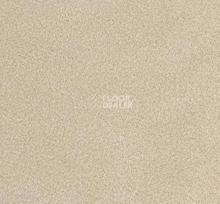 Ковролин Edel Ambition 112 фото 1 | FLOORDEALER