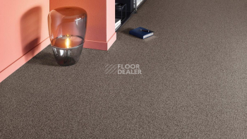 Vorwerk Essential 1074/Parma Vorwerk 7g59 фото 2 | FLOORDEALER