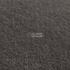Ковролин Jacaranda Carpets Jaspur Night фото 1 | FLOORDEALER