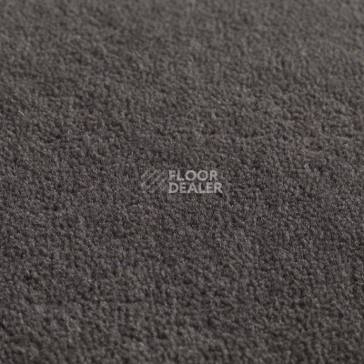 Ковролин Jacaranda Carpets Jaspur Night фото 1 | FLOORDEALER