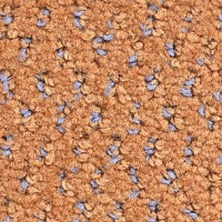 Ковролин Balsan Balmoral Balmoral 430 фото 1 | FLOORDEALER