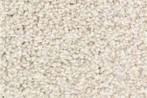 Ковролин Edel Charisma 112 фото  | FLOORDEALER