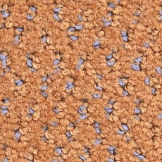 Ковролин Balsan Balmoral Balmoral 430 фото 1 | FLOORDEALER