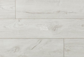 Ламинат My Step Fortis MS612 Дуб Ноббис фото 1 | FLOORDEALER