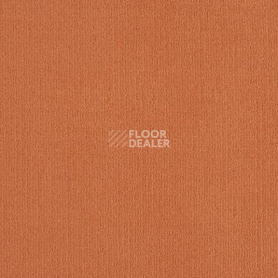 Ковролин Lano Mambo 312 фото 1 | FLOORDEALER