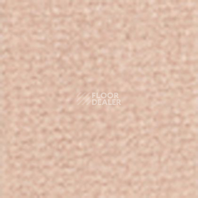 Ковролин Tapibel Casa 24826 фото 1 | FLOORDEALER