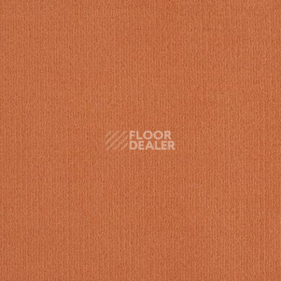 Ковролин Lano Mambo 312 фото 1 | FLOORDEALER