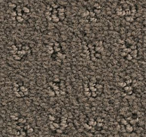 Ковролин Balsan Patio Patio 750 фото 1 | FLOORDEALER