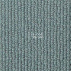 Ковролин Infloor Campus 520 фото 1 | FLOORDEALER