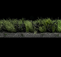 Forbo Coral Brush 5708 Avocado Green фото 3 | FLOORDEALER