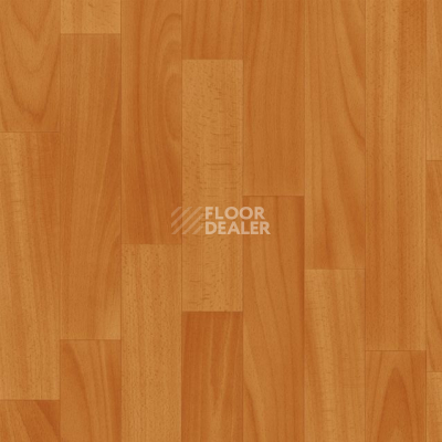 Линолеум Grabo Terrana Top Extra 4179-300 фото 1 | FLOORDEALER