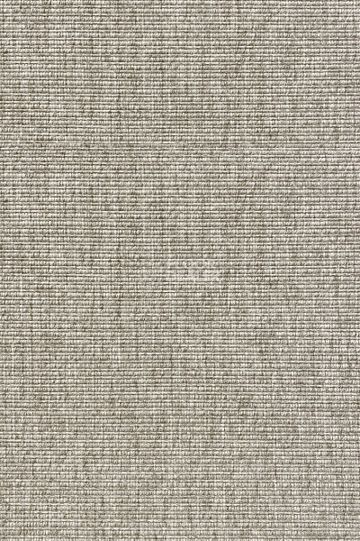 Циновки Aw Invictus Levinus Levinus 90 a фото 1 | FLOORDEALER