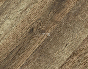 Kronopol Platinium Paloma AQUA BLOCK 8mm Kronopol Platinium Paloma Aqua Block 24h Дуб Стефано D80204 фото 2 | FLOORDEALER