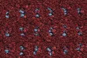 Ковролин Balsan Baccarat Baccarat 581 фото  | FLOORDEALER