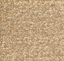 Ковролин Emphatic Beaulieu of America 56110 фото 1 | FLOORDEALER