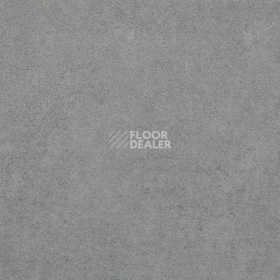 Линолеум Taralay Initial Compact (Plain & allover look) 0964 Miami Souris фото 1 | FLOORDEALER