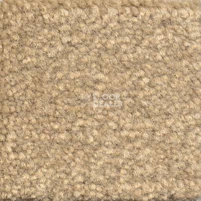 Ковролин Emphatic Beaulieu of America 56110 фото 1 | FLOORDEALER