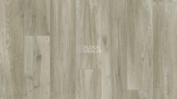 Линолеум Tarkett Idylle Nova Brut 2 фото 1 | FLOORDEALER