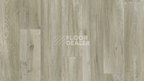 Линолеум Tarkett Idylle Nova Brut 2 фото 1 | FLOORDEALER