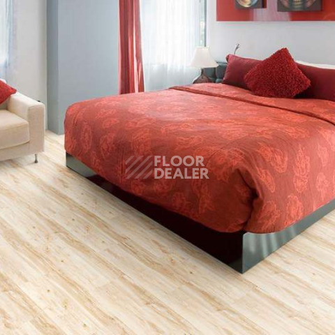 Wood MAPLE фото 3 | FLOORDEALER