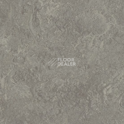 Линолеум Marmorette DLW 2.5mm 0166 Clay фото 1 | FLOORDEALER