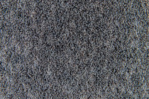 Flotex Colour Penang 50*50 t 382005 Penang Smoke фото 3 | FLOORDEALER