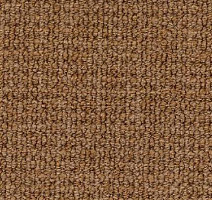 Ковролин Desso Conga 2053 фото 1 | FLOORDEALER