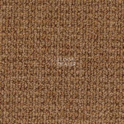 Ковролин Desso Conga 2053 фото 1 | FLOORDEALER