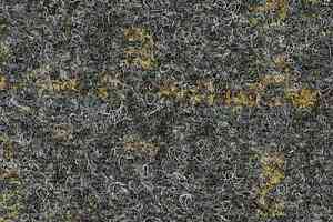 Ковролин Finett Dessino 1 8020 фото  | FLOORDEALER