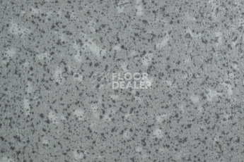 Линолеум Tarkett Acczent Pro Aspect 3 фото 1 | FLOORDEALER