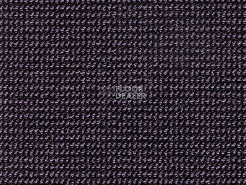 Ковролин e-check 89 фото 1 | FLOORDEALER