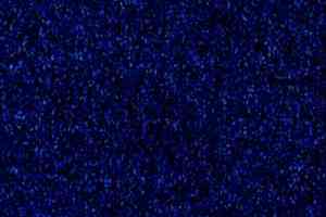 Ковролин Desso Mila-Brlm 8422 фото  | FLOORDEALER