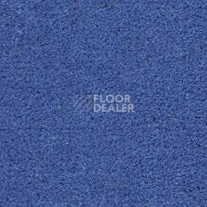 Ковролин Radici Montecarlo 34 фото 1 | FLOORDEALER