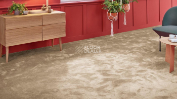 Vorwerk Superior 1067 Mira Vorwerk 8k06 фото 2 | FLOORDEALER