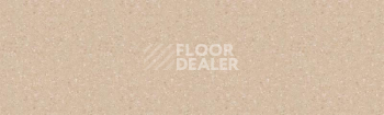 Линолеум Tarkett Tempo Plus 1007 фото 1 | FLOORDEALER