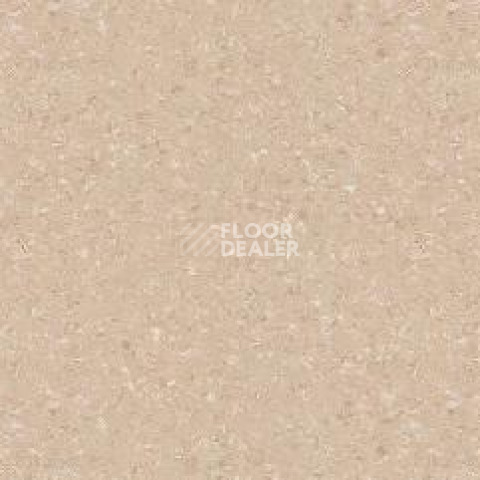 Линолеум Tarkett Tempo Plus 1007 фото 1 | FLOORDEALER